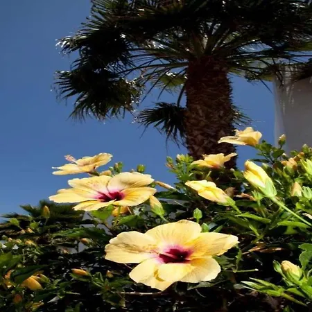 Playa Blanca Sleeps 6 Pool Wifi فيلة بلايا بلانكا